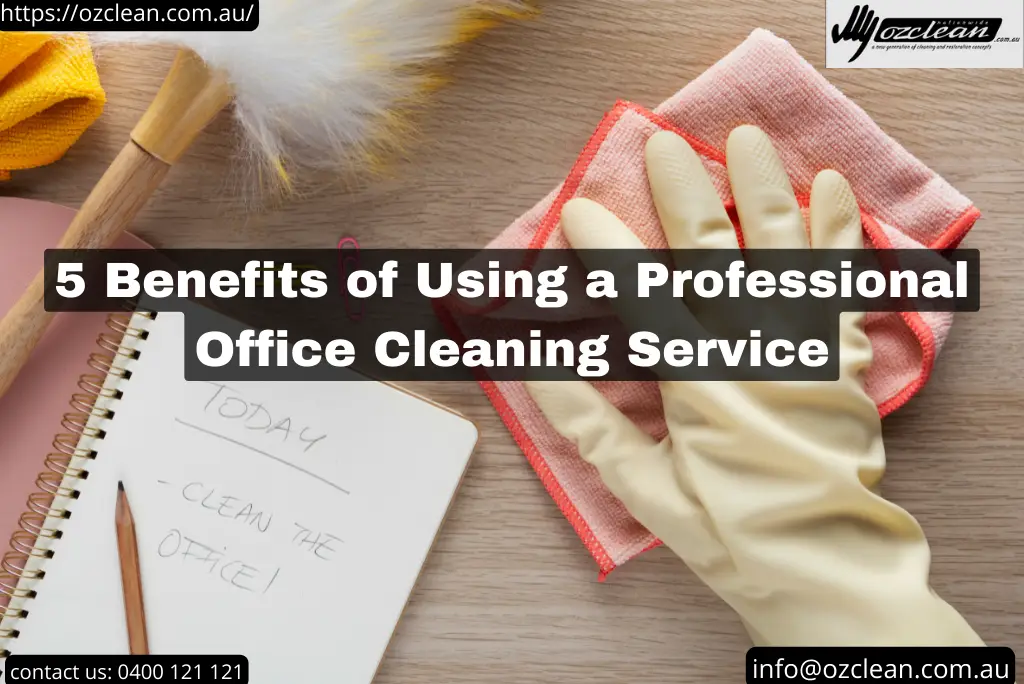 Page 3 - Sunshine Coast Cleaning Tips and News | Ozclean Blog 19 blog thumbnail