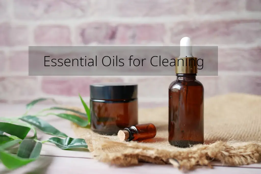 Top Cleaning Tips for a Spotless Home | Ozclean Sunshine Coast 16 blog thumbnail