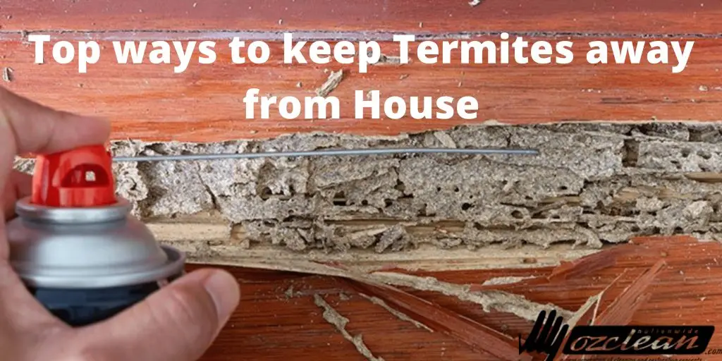 Sustainable Cleaning Tips for a Greener Home | Ozclean Sunshine Coast 4 blog thumbnail